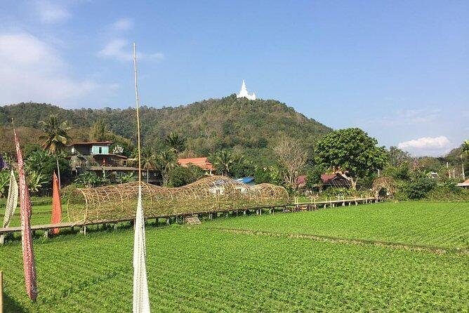 Half-day hilly E-bike adventure (fully paved roads, GUIDED) - Exploring Chiang Mais Countryside by E-bike