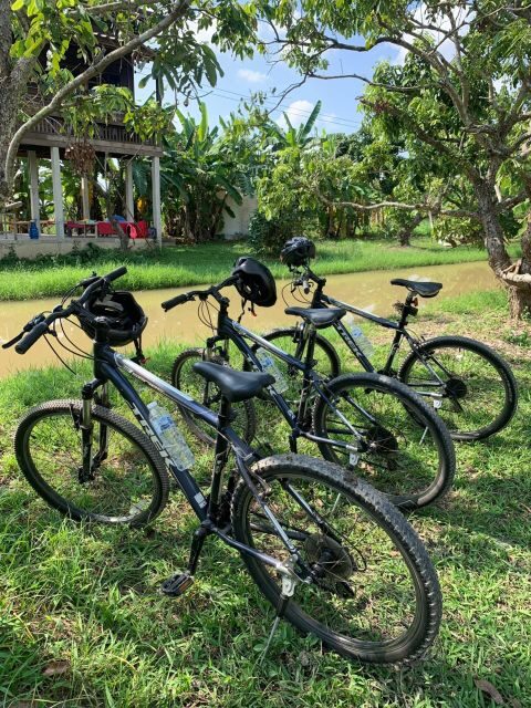 Half Day Historical & Cultural Experience Bicycle Tour - What’s Included and What to Consider