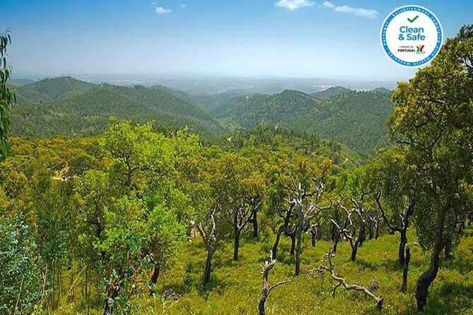 Half Day Historical Tour to Silves and Monchique - Transportation and Group Size: Comfort and Intimacy