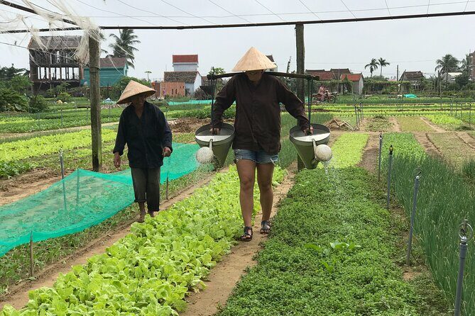 Half-Day Hoi An Countryside and Villages Tour by Bike - Key Points