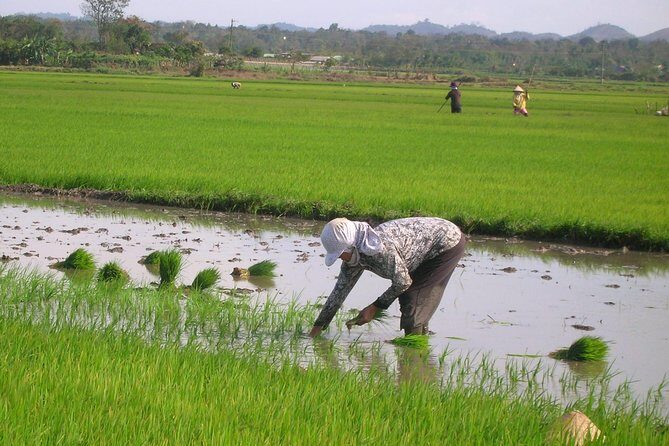 Half-Day Hoi An Countryside and Villages Tour by Bike - What We Appreciate About This Tour