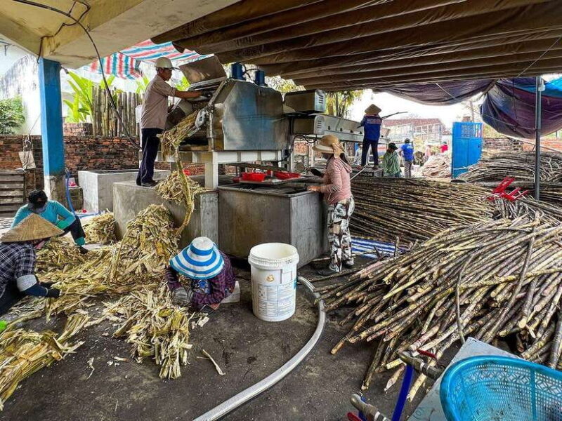 Half-day Hoi An Scenic River Cruise And Village Exploration - Frequently Asked Questions