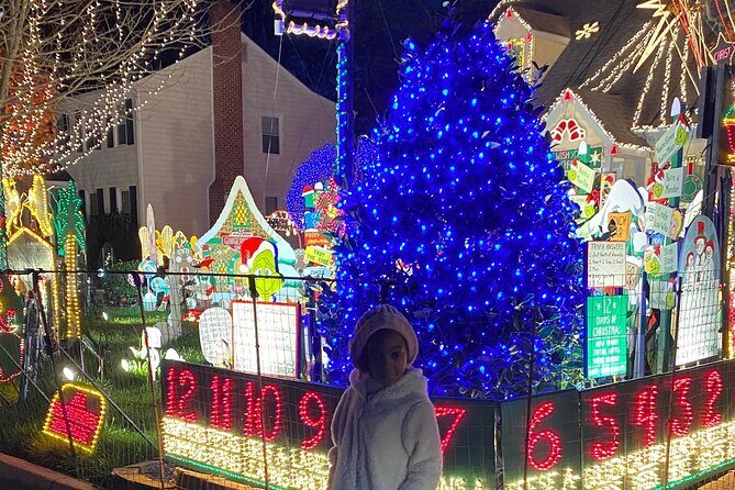 Half-Day Holiday and Tacky Lights Tour in Richmond - Practical Considerations