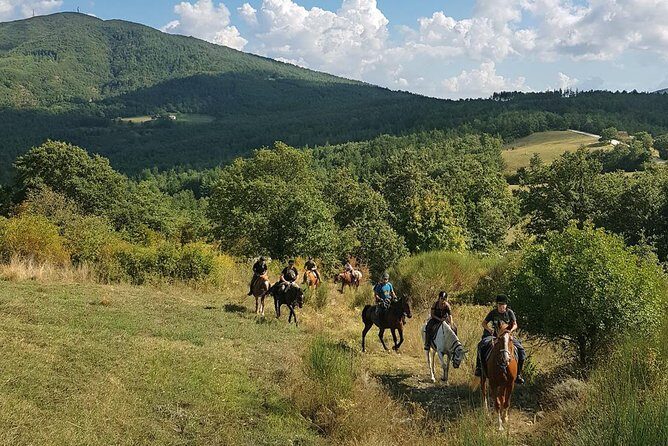 Half-Day Horseback Ride in Tuscany - Who Will Love This Tour?