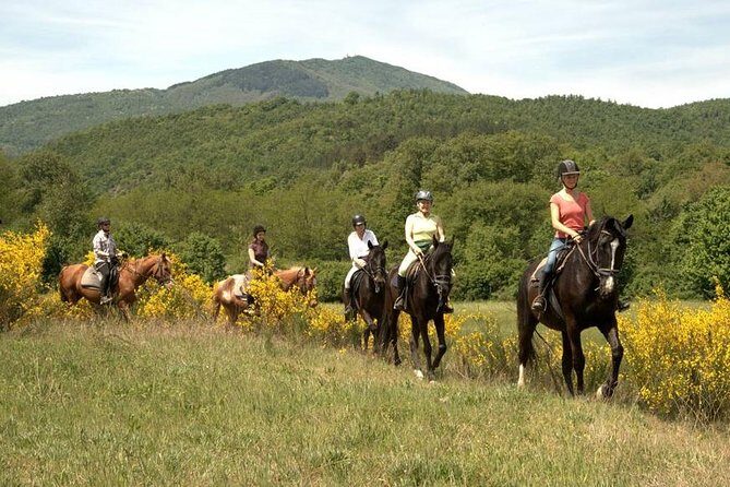 Half-Day Horseback Ride in Tuscany - Final Thoughts