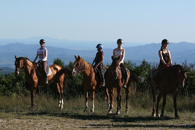 Half-Day Horseback Ride in Tuscany for beginner riders - An In-Depth Look at the Tuscany Horseback Adventure