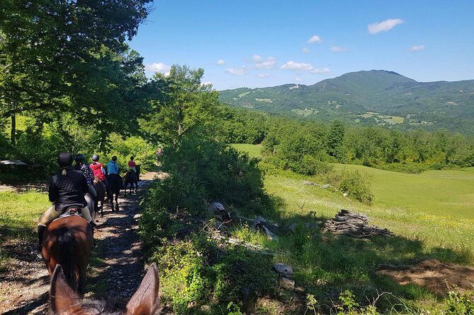 Half-Day Horseback Ride in Tuscany for beginner riders - Final Thoughts