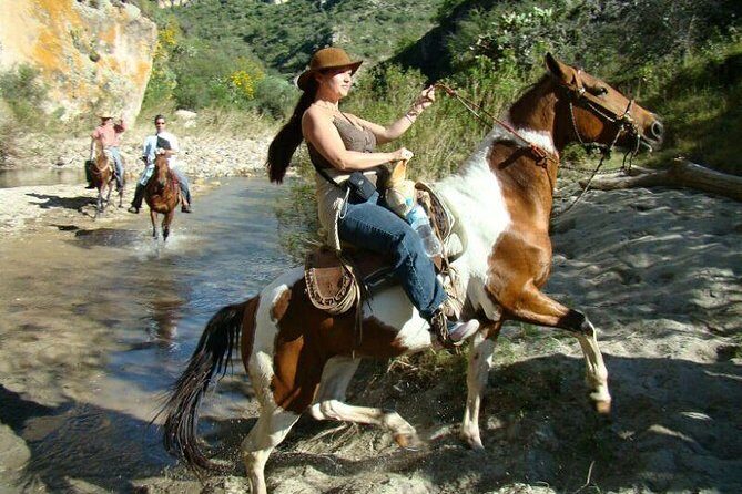 Half-Day Horseback Riding Adventure - Who Will Love This Tour?