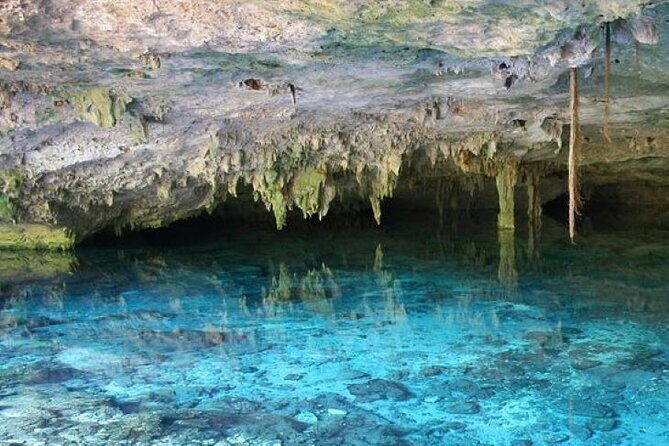 Half Day Horseback Riding Adventure with Cenotes in the Jungle - Exploring the Experience in Detail