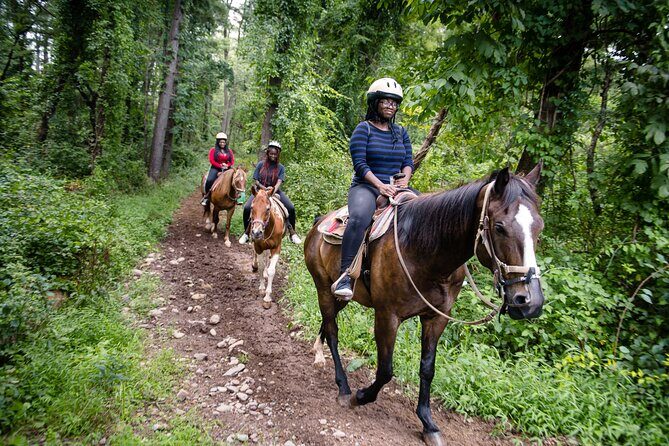 Half-day Horseback Riding through the Mountains Punta Cana - Who Will Enjoy This Tour?