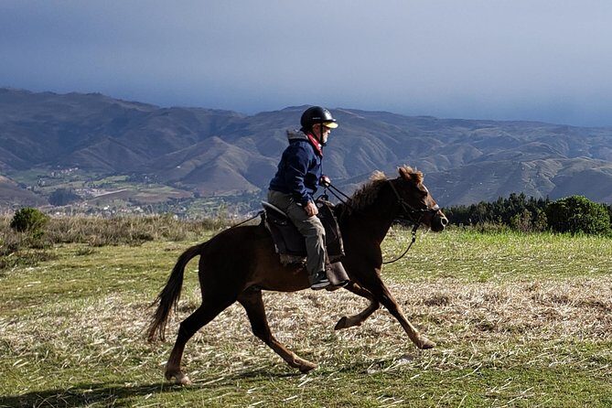 Half day Horseback Riding tour around Sacsayhuaman park - An In-Depth Look at the Half-Day Horseback Ride