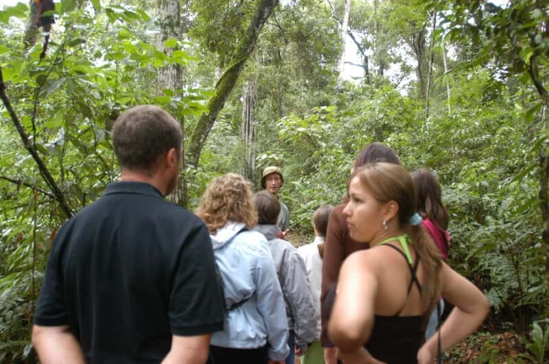 Half-Day Iguazú Forest Adventure - Discover the Iguazú Forest with a Half-Day Adventure