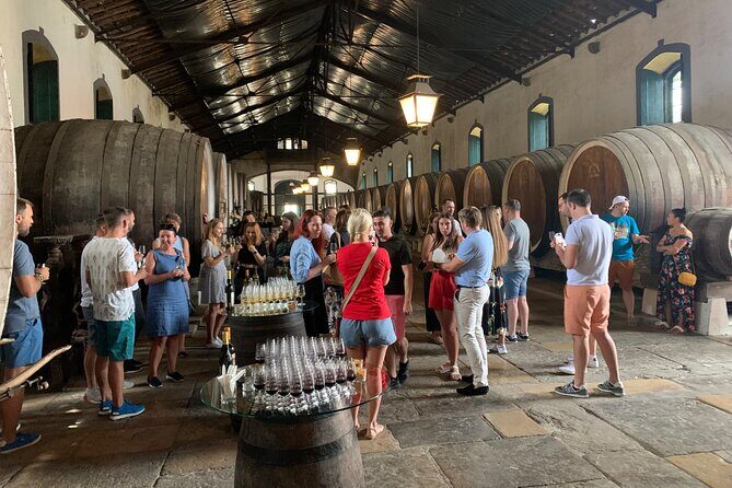 Half Day in Sintra and Cabo da Roca with Wine Tasting - Exploring Sintra: A Village Steeped in History