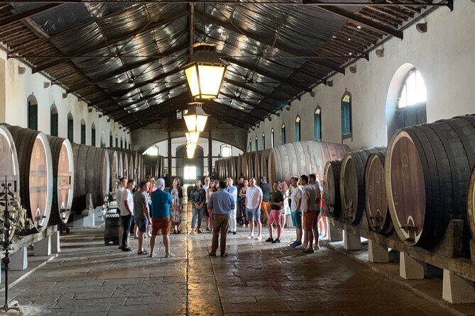 Half Day in Sintra and Cabo da Roca with Wine Tasting - Final Thoughts: Who Should Choose This Tour?