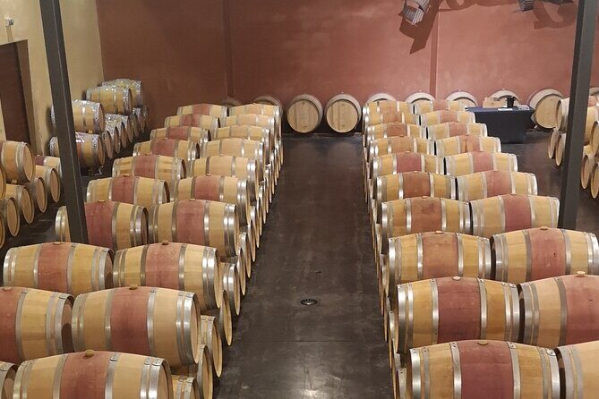 Half-day in the Médoc : 2 wineries & 6 wines - A Perfect Half-Day in Médoc: Visiting Two Distinct Wineries and Tasting Six Wines