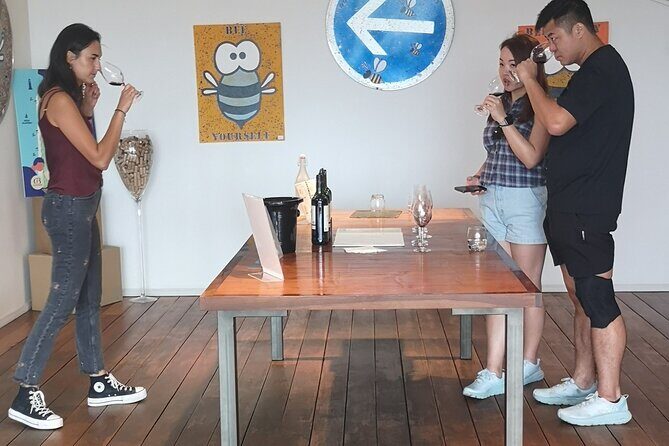 Half-day in the Médoc : 2 wineries & 6 wines - Is This Tour Right for You?