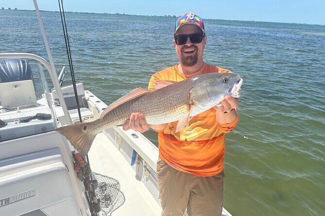 Half Day Inshore and Nearshore Fishing Charter in Sarasota - Wildlife Encounters and Scenic Views