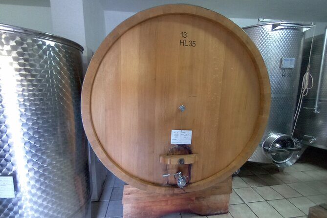 Half-Day Irpinia Wine Tour from SALERNO - In-Depth Review of the Irpinia Wine Tour