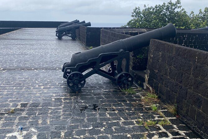 Half-Day Island Adventure of St Kitts - Who Will Love This Tour?