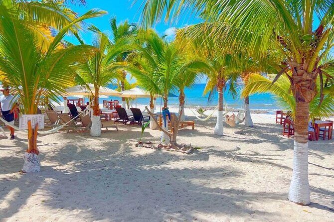 Half-Day Island Tour with Mayan Experience & Beach Break - The Sum Up