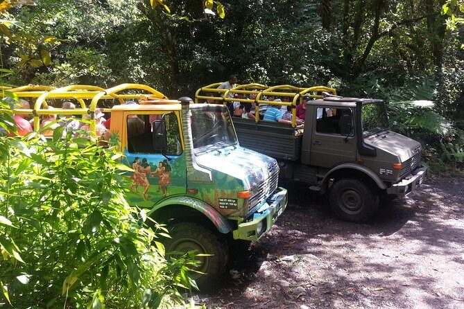 Half Day Jeep Safari - Discover Dominica on a 3-Hour Jeep Safari