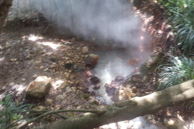 Half Day Jeep Safari - Who Will Enjoy This Tour?