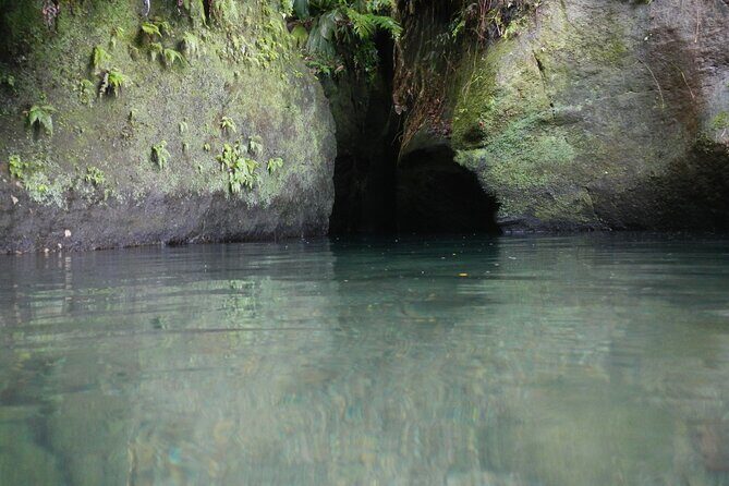 Half Day Jeep Safari - The Sum Up