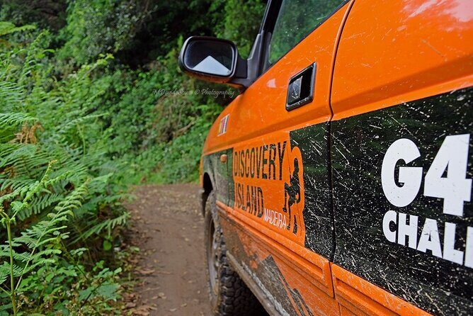 Half Day Jeep Safari Tour at Pico Areeiro and Santo da Serra - Who Should Consider This Tour?