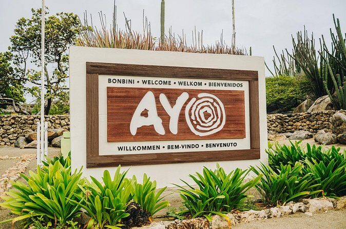 Half-Day Jeep Tour in Aruba - FAQ