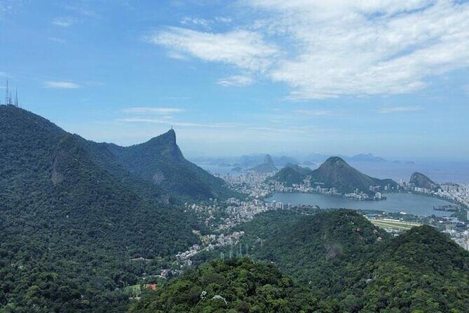 Half-Day Jeep Tour in Rio's Tijuca Rainforest and Scenic - Key Points
