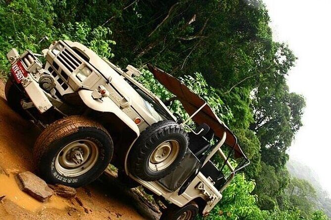 Half-Day Jeep Tour in Rio's Tijuca Rainforest and Scenic - Authentic Experiences & Practical Insights