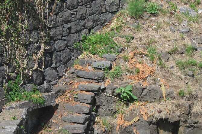 Half day jeep Wine tour and tasting, & sea cliff adventure - Who Will Enjoy This Tour?