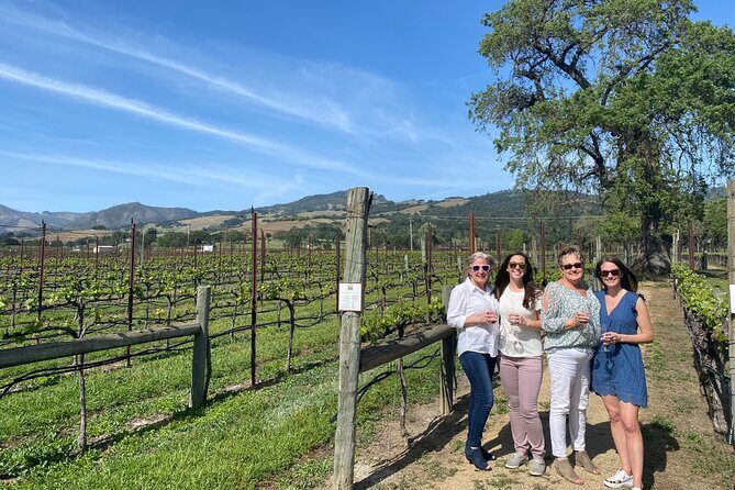 Half Day Join in Group Wine Tasting Tour - Key Points