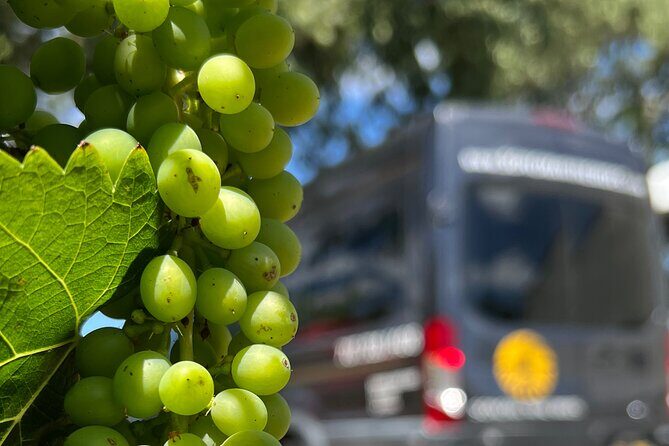 Half Day Join in Group Wine Tasting Tour - FAQ