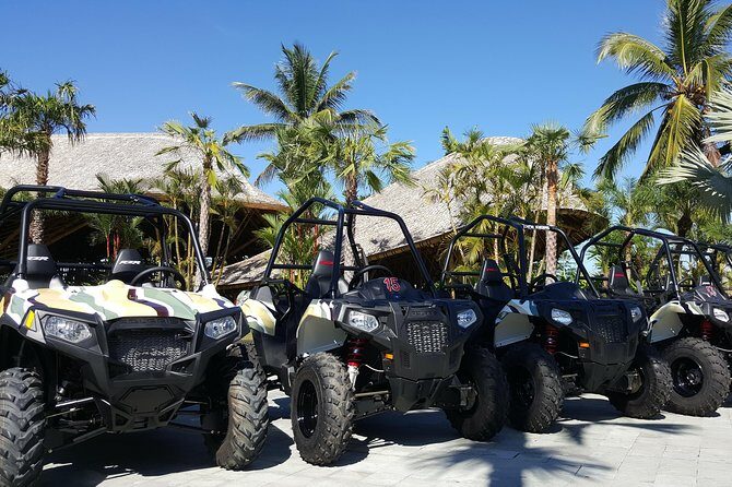 Half Day Jungle Buggies in Bali with Guide - Frequently Asked Questions