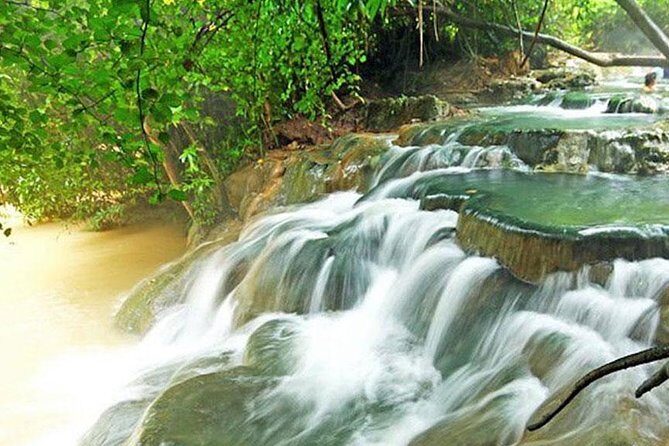 Half Day Jungle Tour to Emerald pool and Krabi Hot Spring - Exploring the Itinerary in Detail