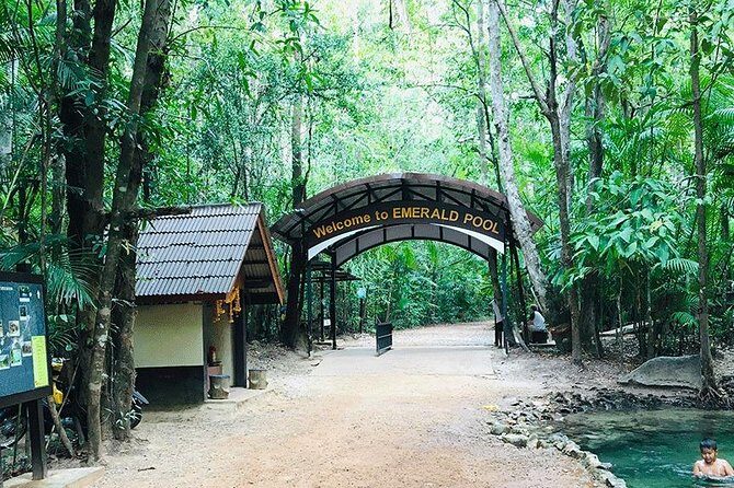 Half Day Jungle Tour to Emerald pool and Krabi Hot Spring - Authenticity and Value