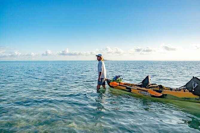 Half-Day Kaneohe Bay Sandbar Self-Guided Kayaking Experience - A Deep Dive into the Experience