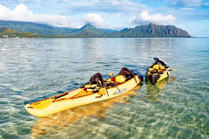 Half-Day Kaneohe Bay Sandbar Self-Guided Kayaking Experience - FAQ