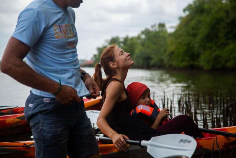 Half Day Kayak Guided Tour to the Green Mangroves Forest - Discover the Serenity of Cambodia’s Green Mangroves by Kayak