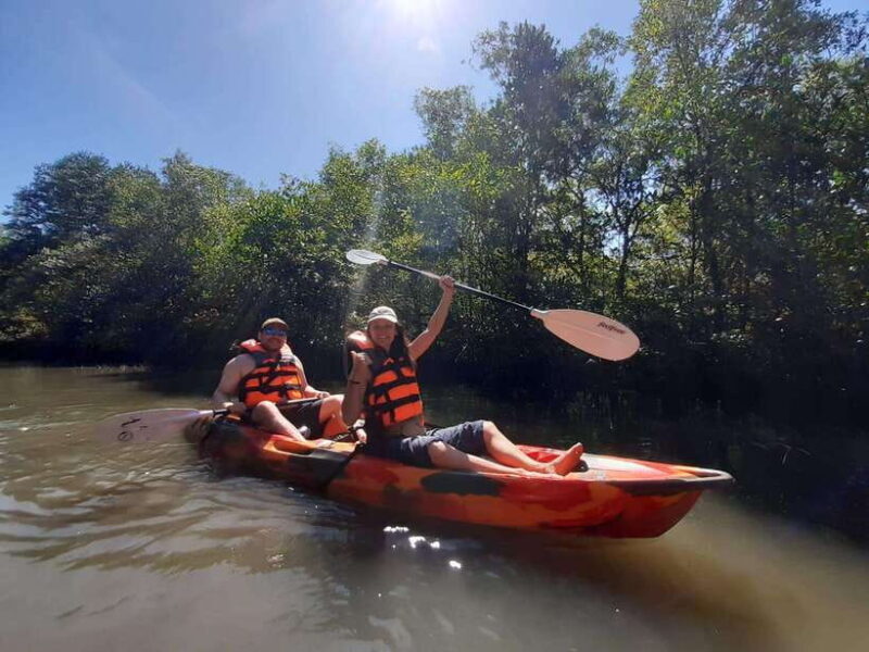 Half Day Kayak Guided Tour to the Green Mangroves Forest - Value and Practical Considerations