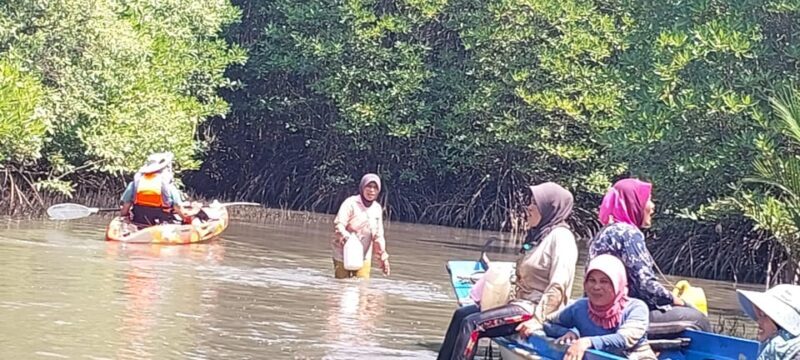 Half Day Kayak Guided Tour to the Green Mangroves Forest - Who Will Love This Tour?