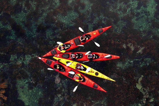 Half Day Kayak - Northern Explores AS - A Practical and Authentic Lofoten Kayaking Adventure