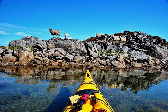Half Day Kayak - Northern Explores AS - FAQ