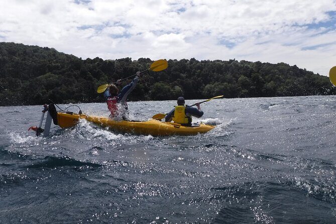 Half-Day Kayak to the Maori Rock Carvings in Lake Taupo - The Value of the Experience