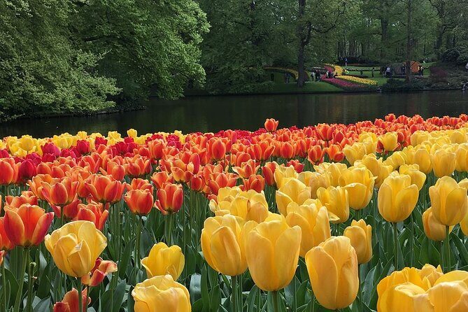 Half Day Keukenhof Tulip Paradise Trip from Amsterdam - Who Will Love This Tour?