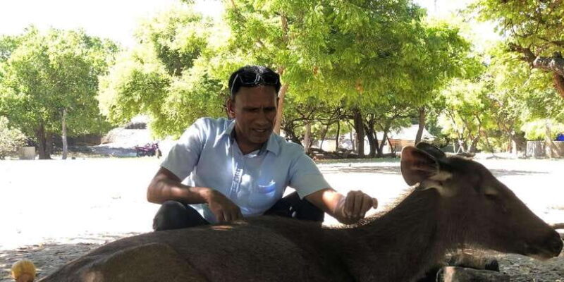 Half-Day Kumana National Park 4 x 4 wheel Safari - Final Thoughts