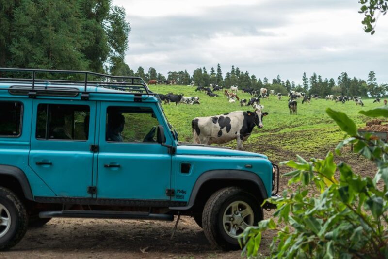 Half Day Lagoa do Fogo 4X4 tour and Gin Library - Discover the Azores with the Half Day Lagoa do Fogo 4X4 Tour and Gin Library