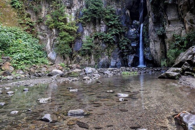Half day Lagoa do Fogo - Why Choose This Tour?