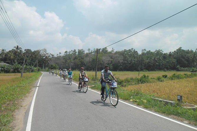 Half-Day Lagoon and Village Cycling Tour in Galle - Who Should Consider This Tour?